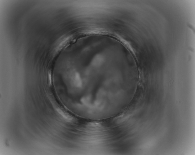 X0000097850061200803141226