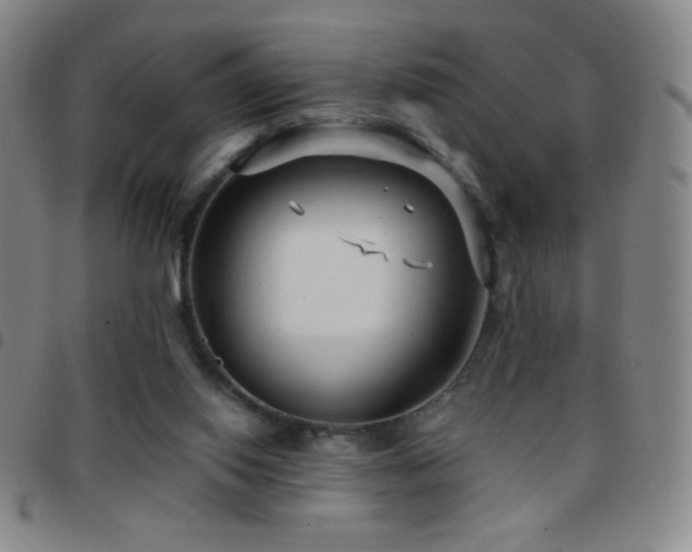 X0000097850062200803141226