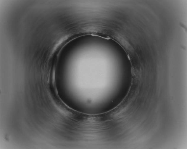 X0000097850064200803141226