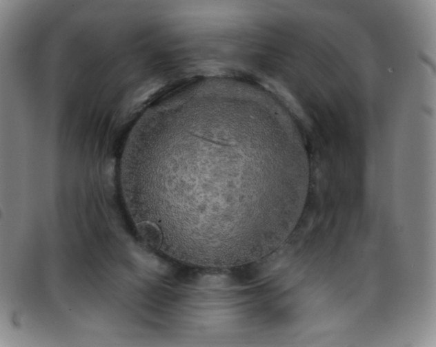 X0000097850066200803141226