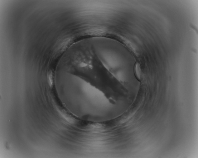 X0000097850069200803141226