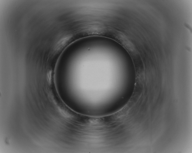 X0000097850070200803141226