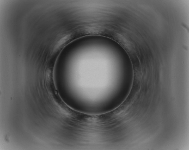 X0000097850071200803141226