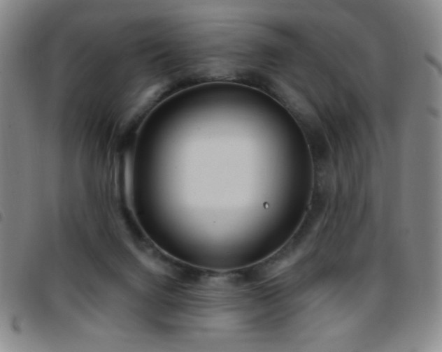X0000097850072200803141226