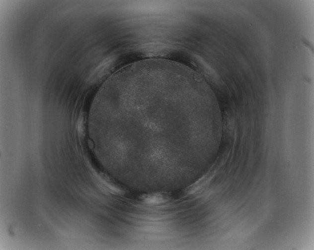 X0000097850074200803141226