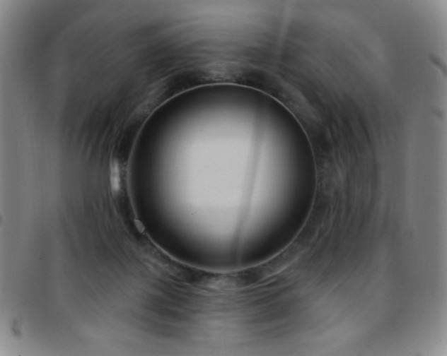 X0000097850075200803141226