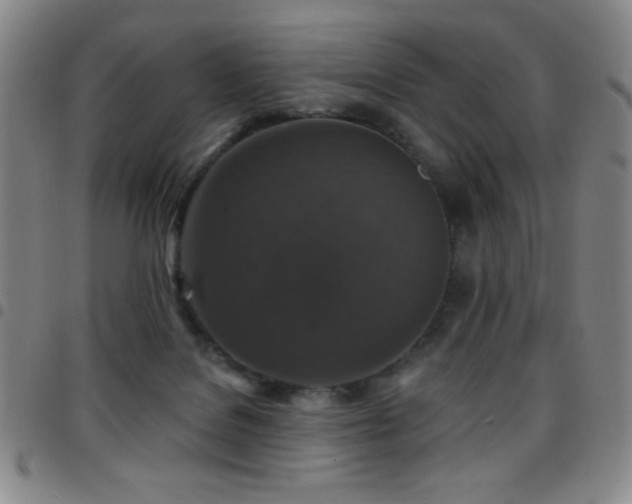 X0000097850076200803141226