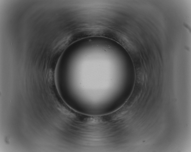 X0000097850077200803141226