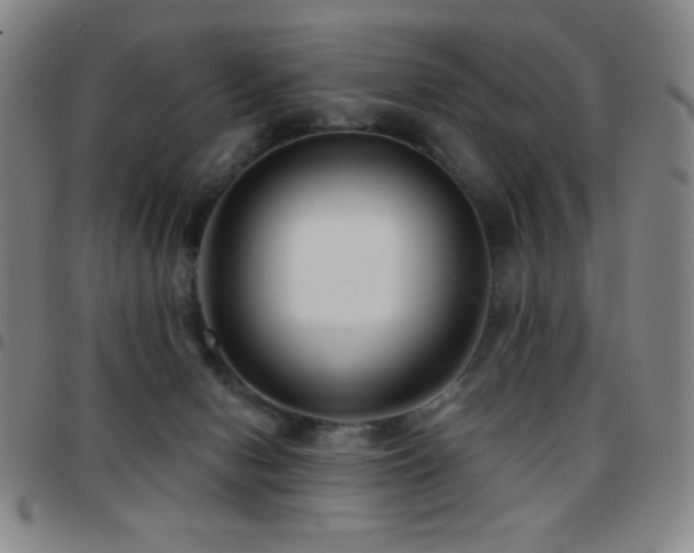 X0000097850078200803141226