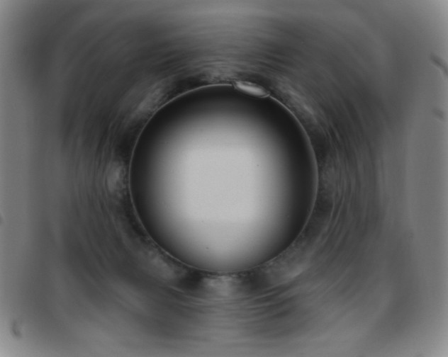 X0000097850079200803141226