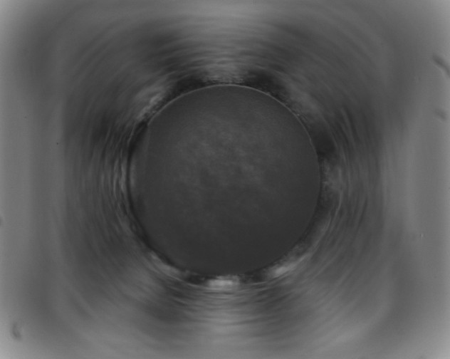 X0000097850080200803141226