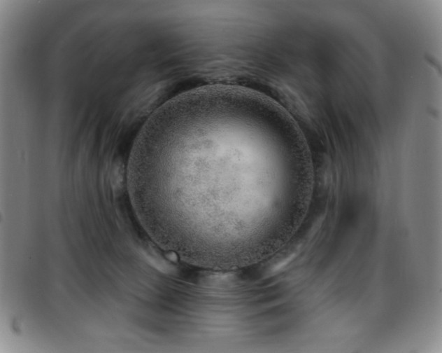 X0000097850081200803141226
