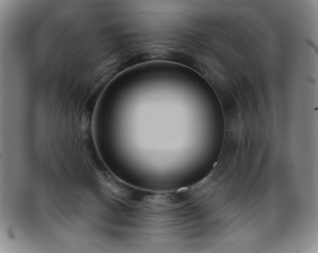X0000097850082200803141226