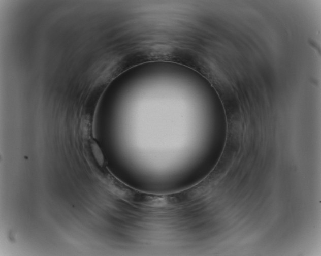 X0000097850083200803141226