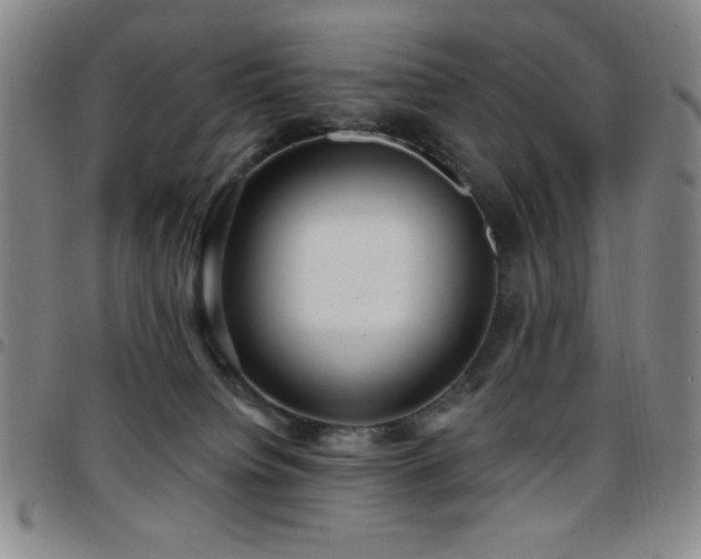 X0000097850084200803141226