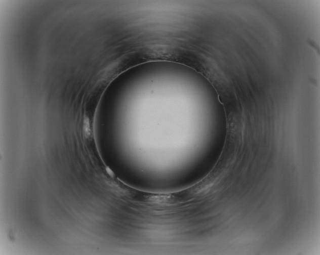 X0000097850089200803141226