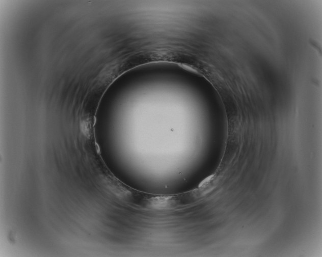 X0000097850090200803141226