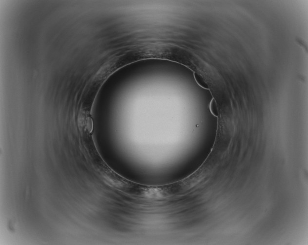 X0000097850091200803141226