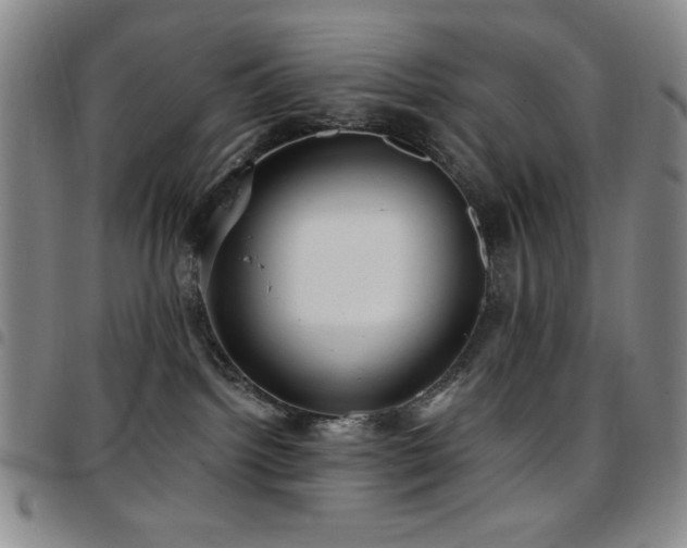 X0000097850092200803141226