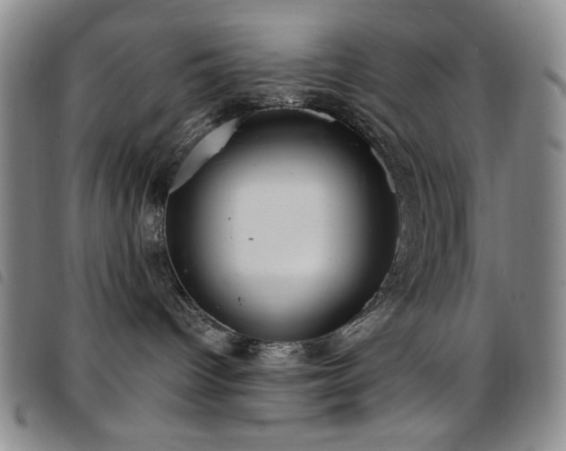 X0000097850096200803141226