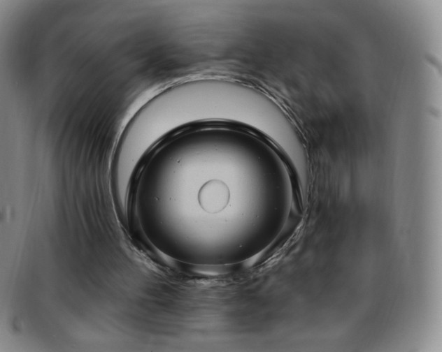 X0000097850100200803141226