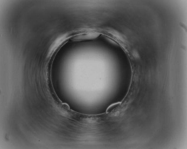 X0000097850103200803141225