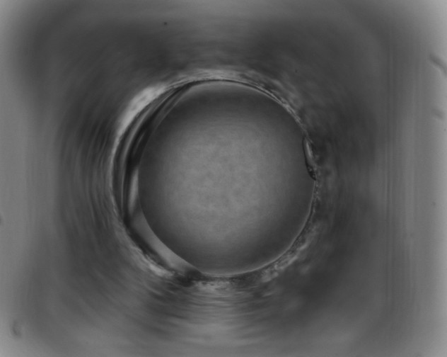 X0000097850104200803141225