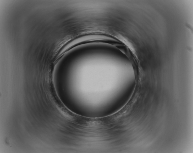 X0000097850105200803141225