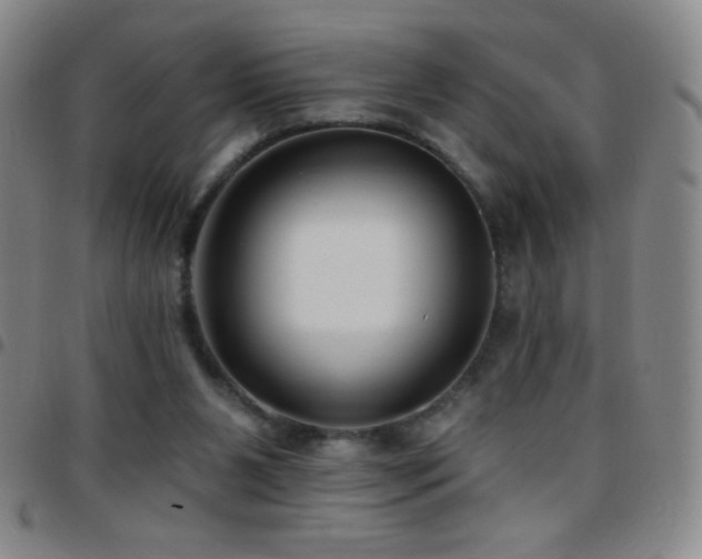X0000097850111200803141225