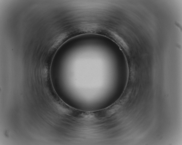X0000097850113200803141225