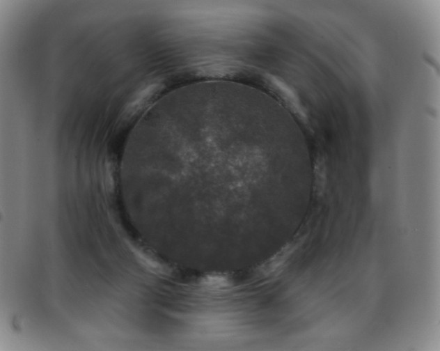 X0000097850114200803141225