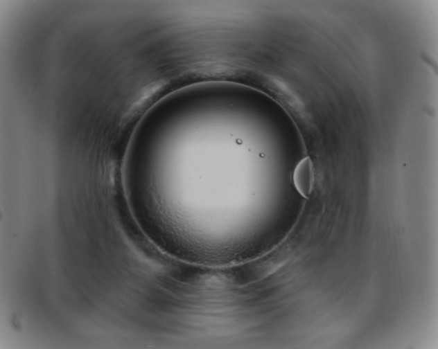 X0000097850115200803141225
