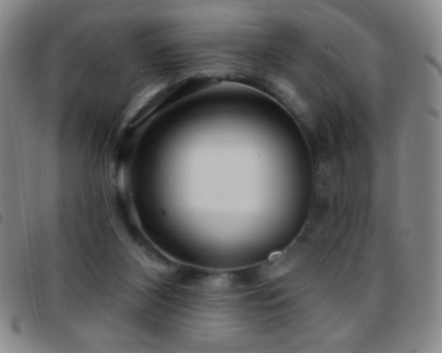 X0000097850116200803141225