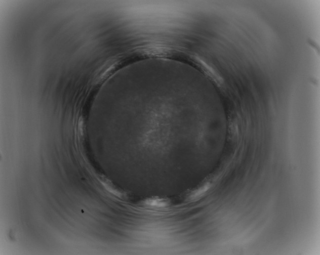 X0000097850117200803141225