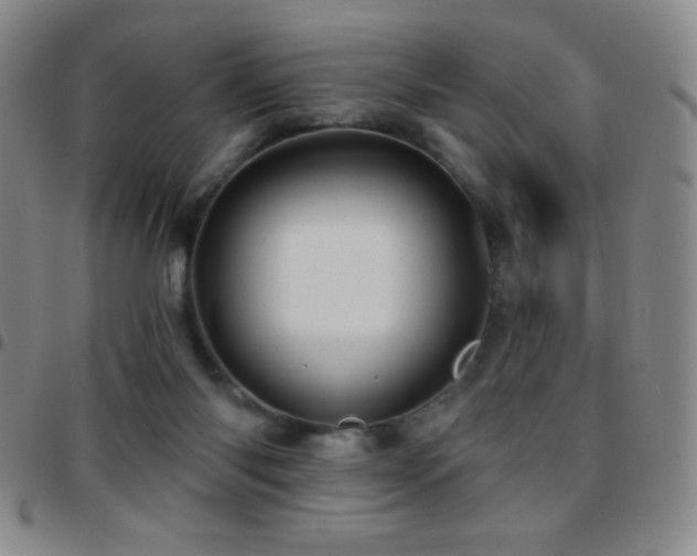 X0000097850118200803141225