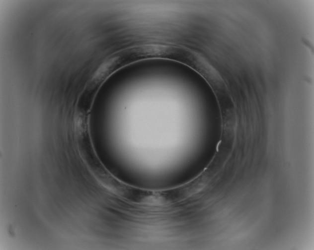 X0000097850119200803141225