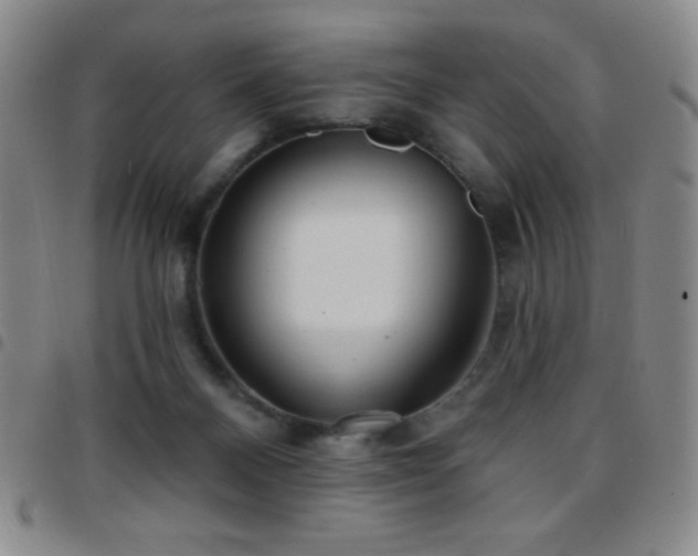 X0000097850120200803141225
