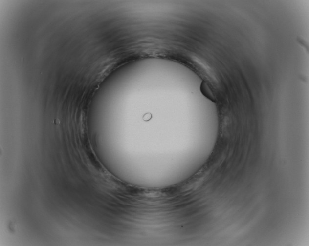 X0000097850121200803141225