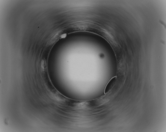 X0000097850122200803141225