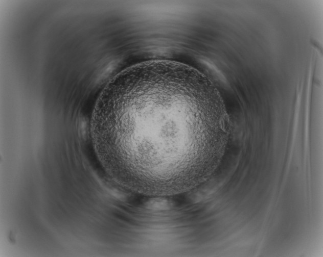 X0000097850123200803141225
