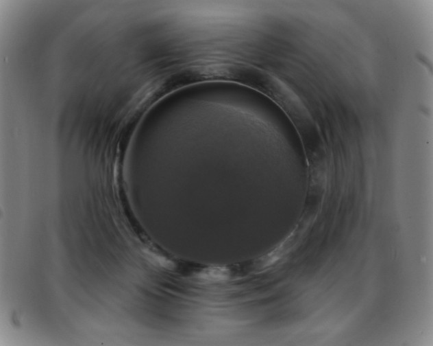 X0000097850124200803141225