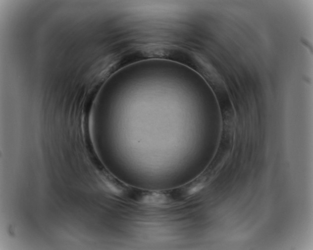 X0000097850125200803141225