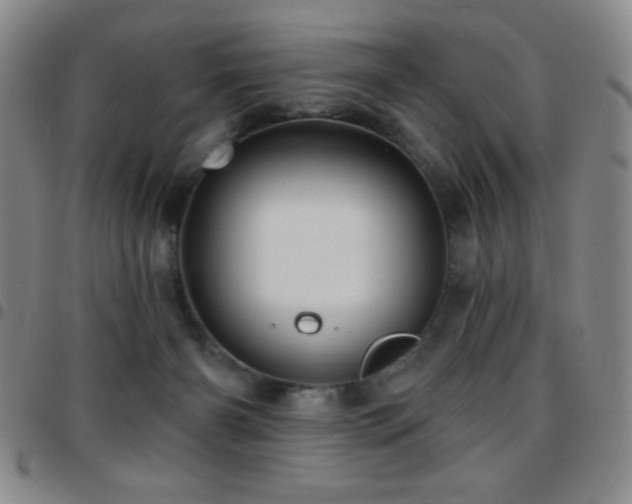 X0000097850126200803141225