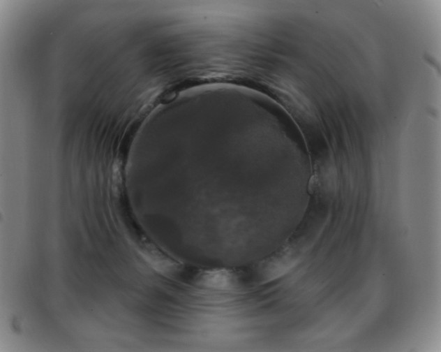 X0000097850127200803141225