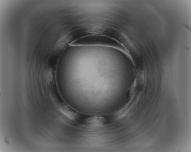 X0000097850128200803141225