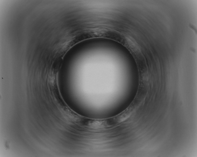 X0000097850129200803141225