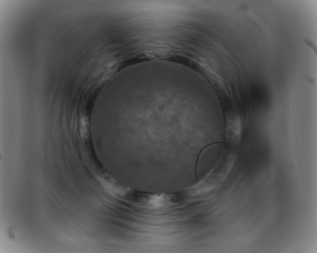 X0000097850130200803141225