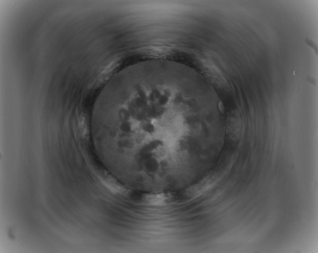 X0000097850131200803141225