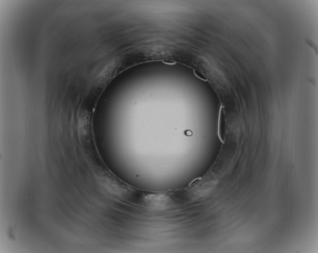 X0000097850133200803141225