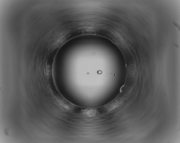 X0000097850135200803141225